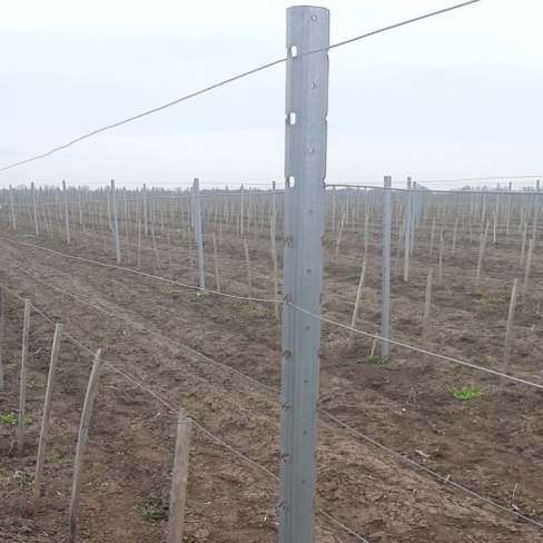 Șpalier metalic vița de vie zincat L=2300mm