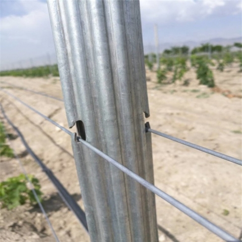 Șpalier metalic vița de vie zincat L = 2600mm