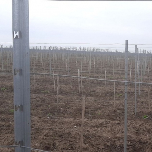 Șpalier metalic vița de vie zincat L=2300mm